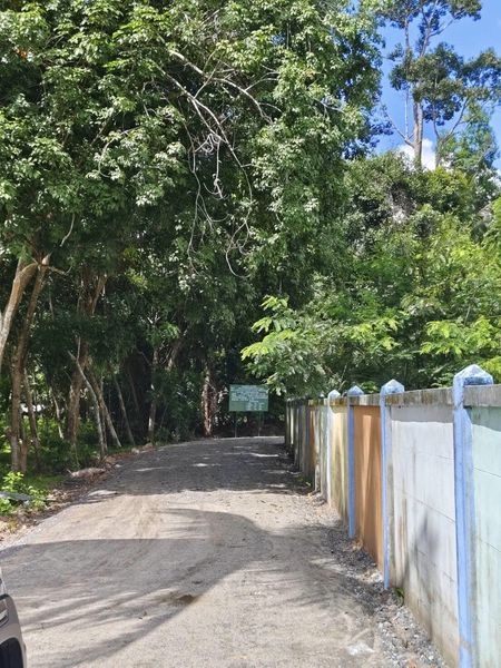 นายกลงพื้นที่ตรวจถนน และลงพื้นที่ตรวจคูระบายน้ํา